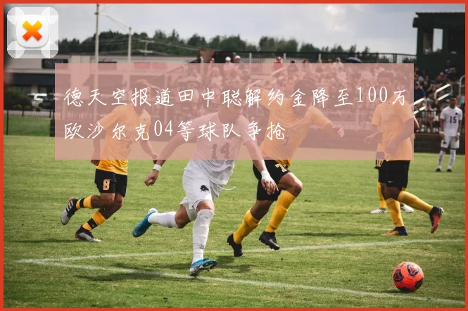 德天空报道田中聪解约金降至100万欧沙尔克04等球队争抢