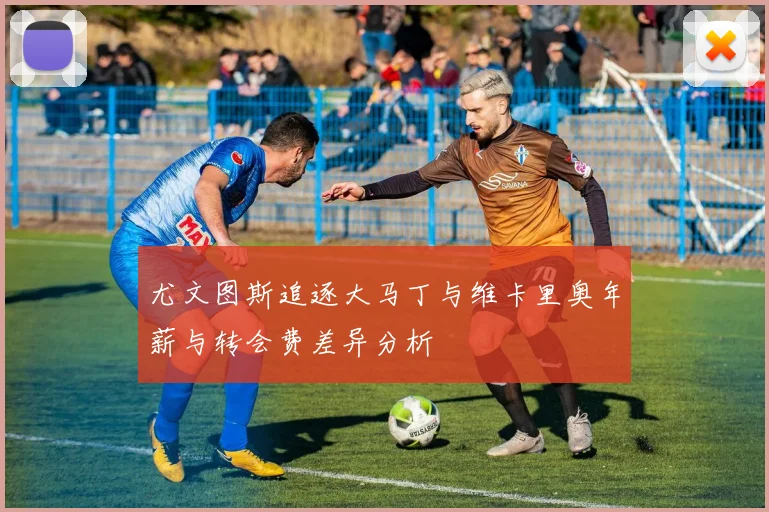 尤文图斯追逐大马丁与维卡里奥年薪与转会费差异分析